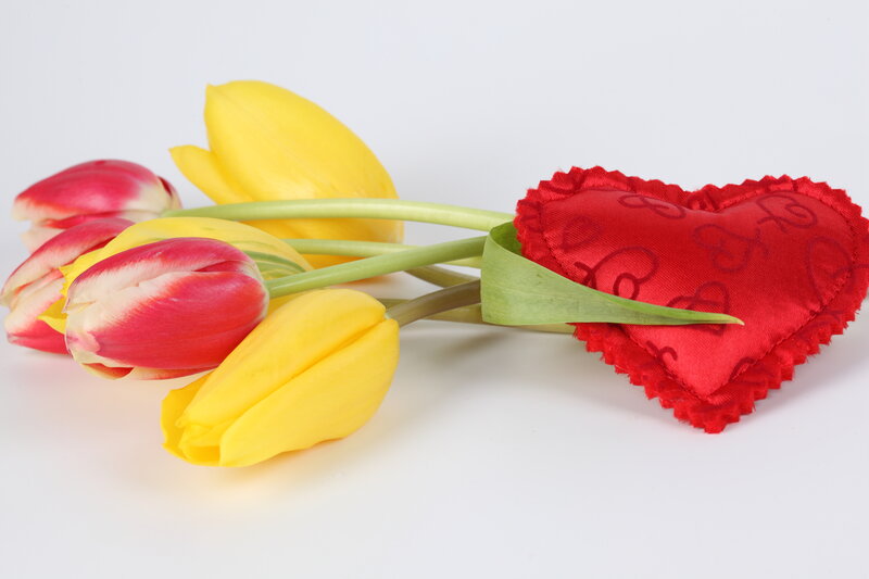 Tulips and Heart Pillow