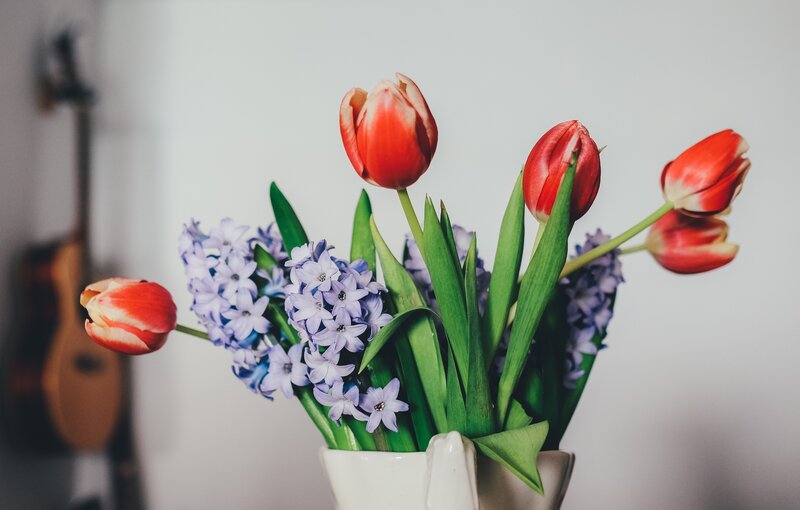 tulips and hyacinths in a vase