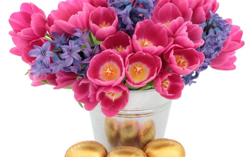 Tulips and Hyacinths in Bucket — Pink