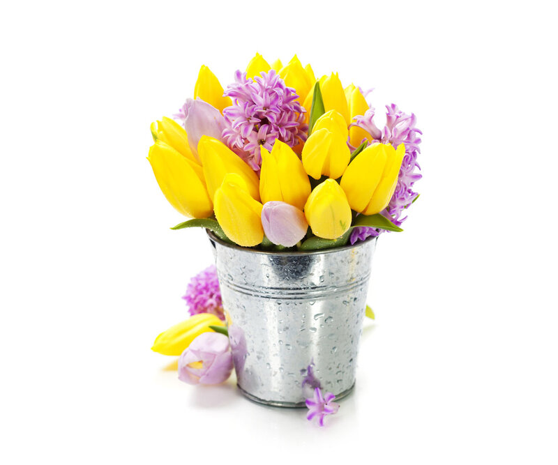 Tulips and Hyacinths in Bucket