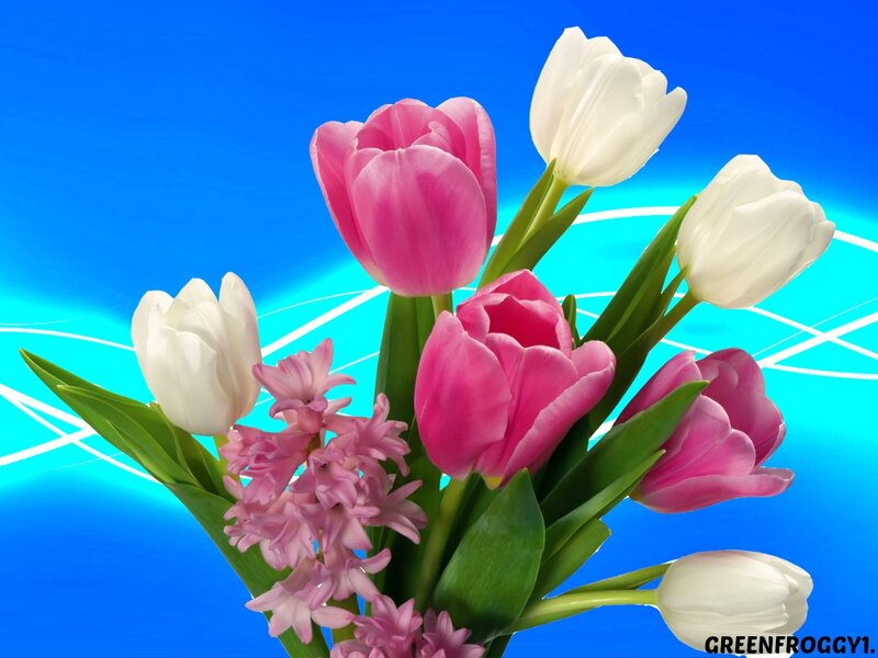 Tulips and Hyacinths — Pink