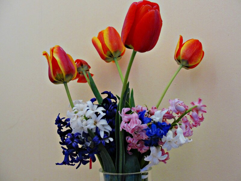 Tulips and Hyacinths — Red