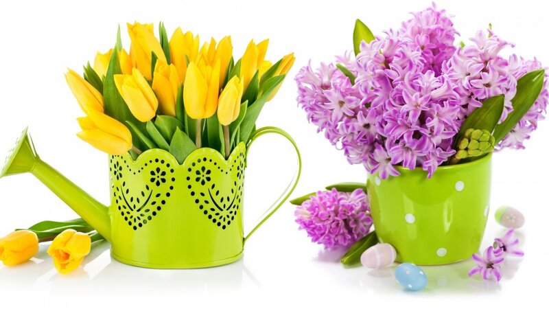 Tulips and Hyacinths — Yellow, Bright