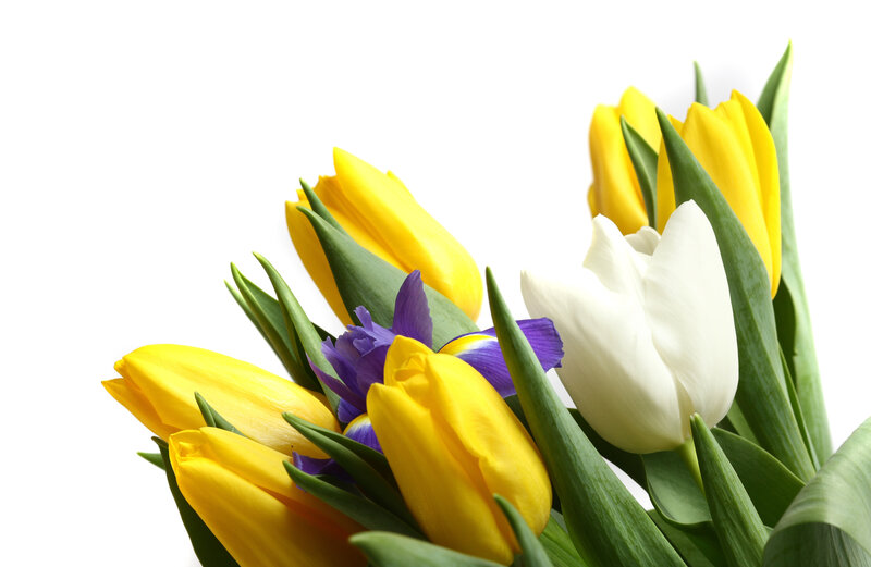 Tulips and Iris Bouquet — Yellow