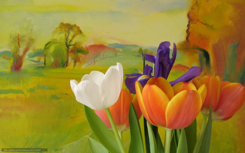 tulips and iris in a painting