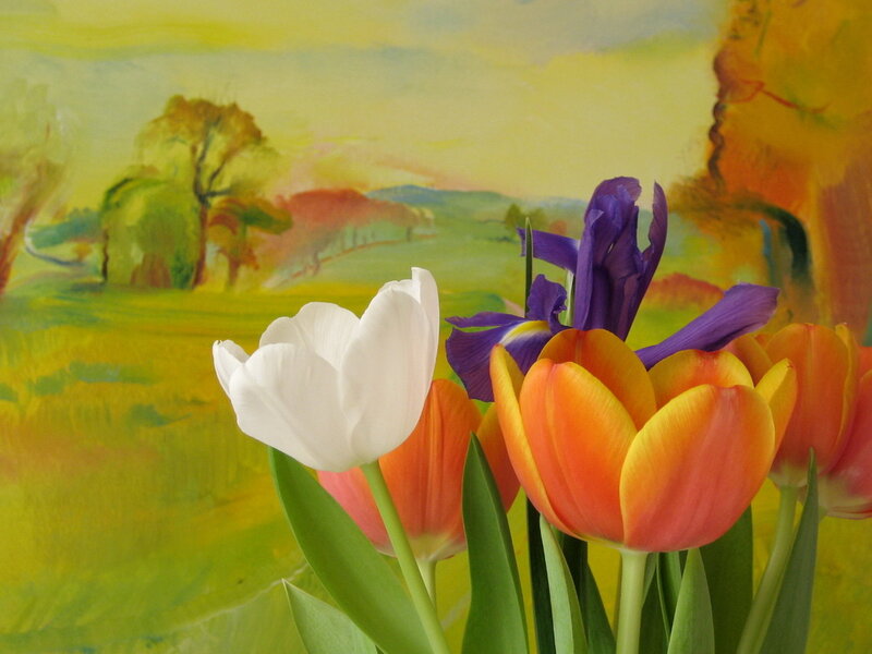 Tulips and Iris in Front