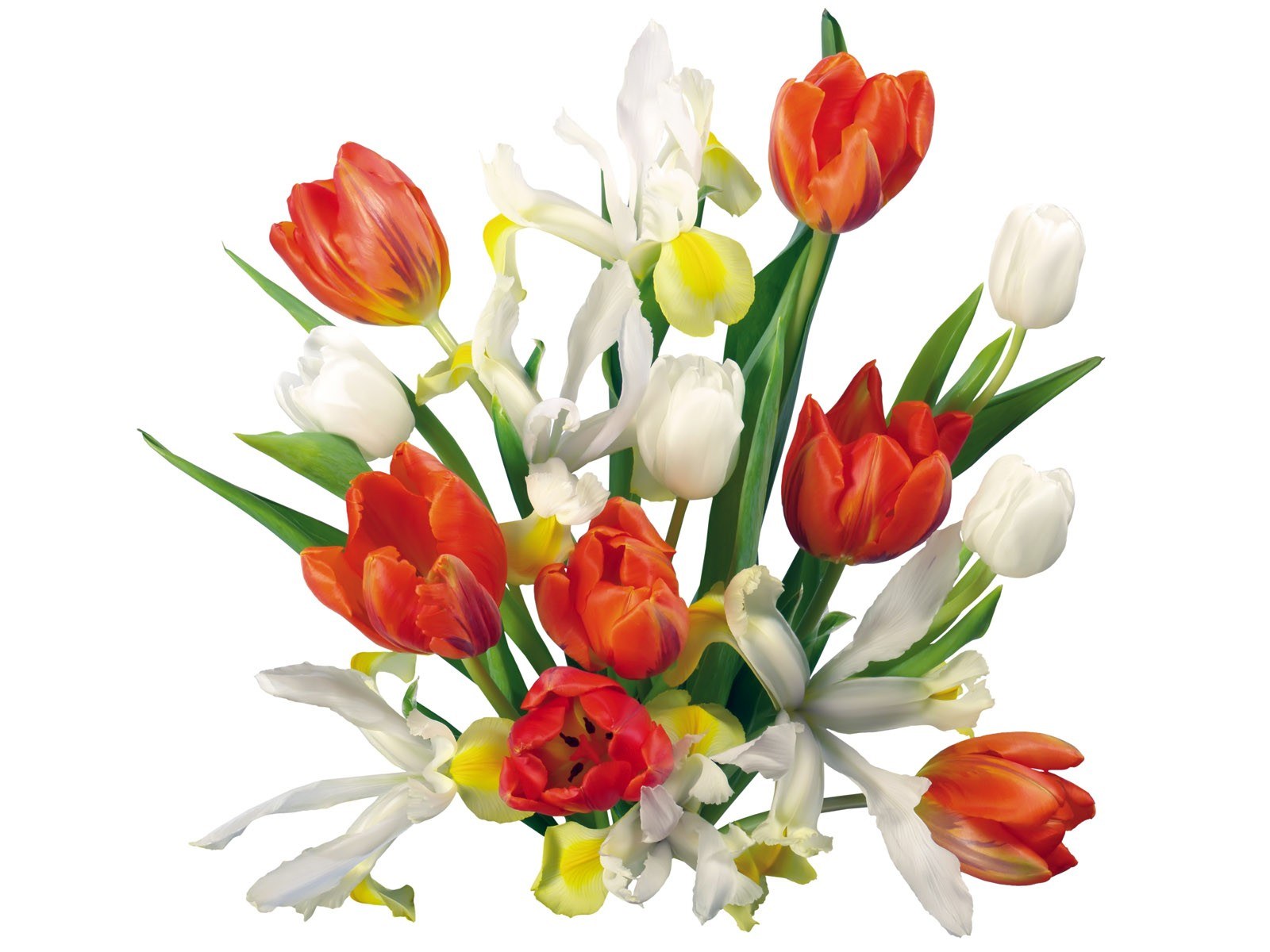 tulips and irises bouquet