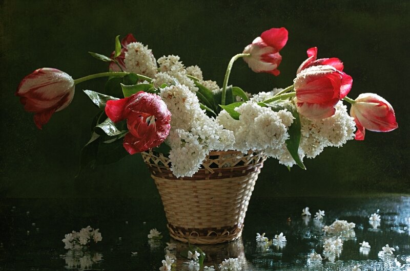 tulips and lilacs in a basket