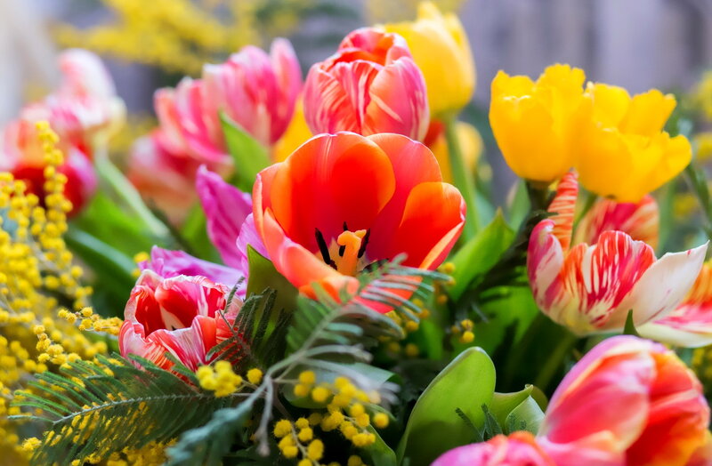 Tulips and Mimosa Bouquet — Red