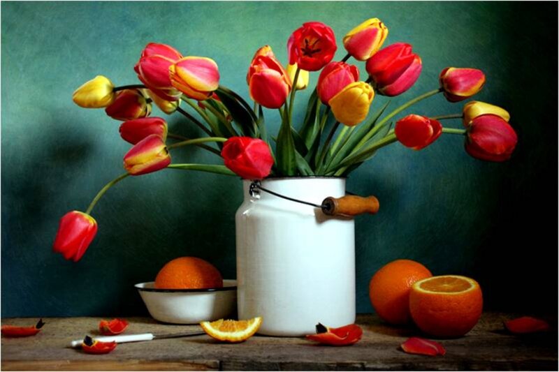 Tulips and Oranges
