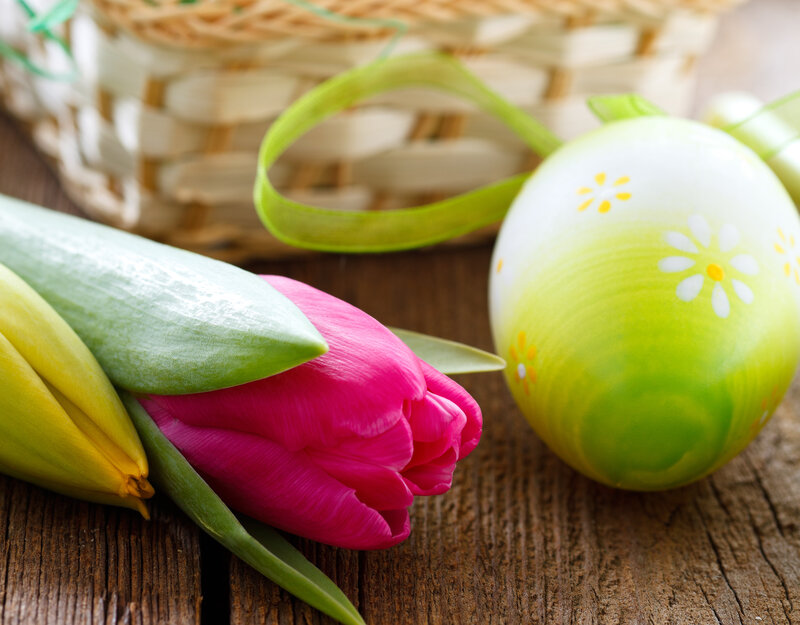 Tulips and Painted Egg