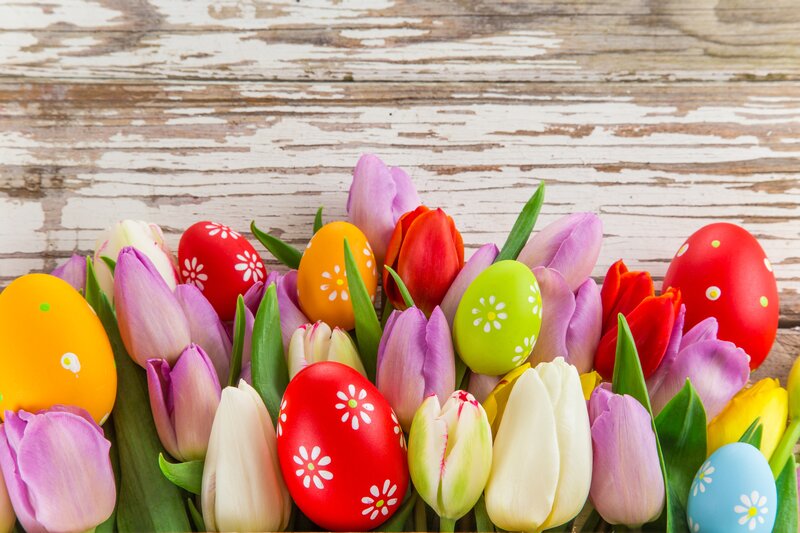 Tulips and Painted Eggs