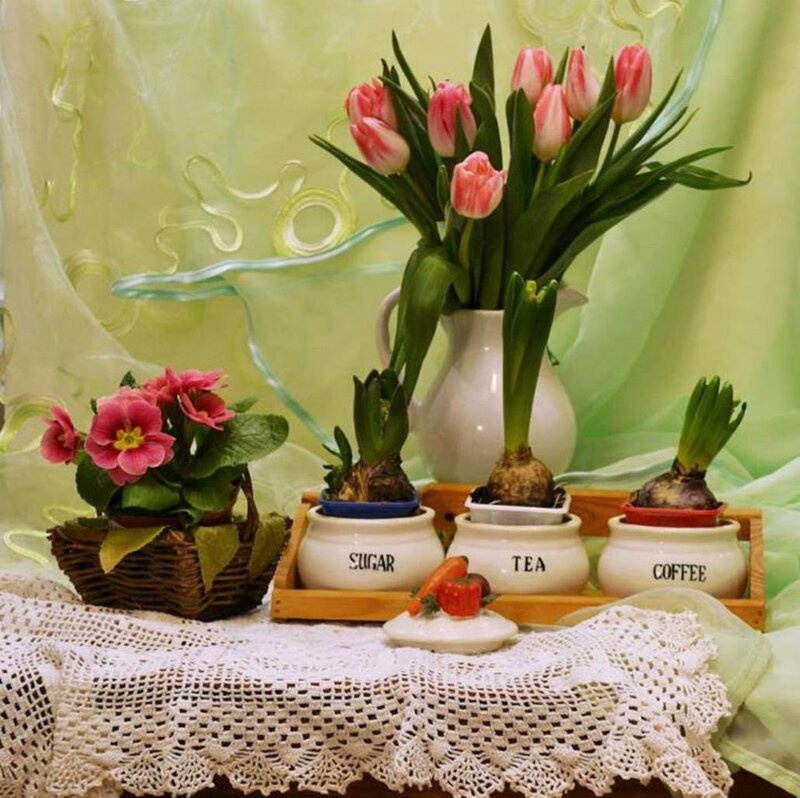 Tulips and Primroses