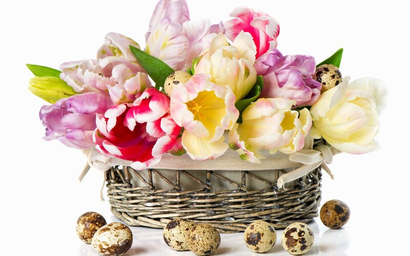 Tulips and Quail Eggs — Pink, Festive