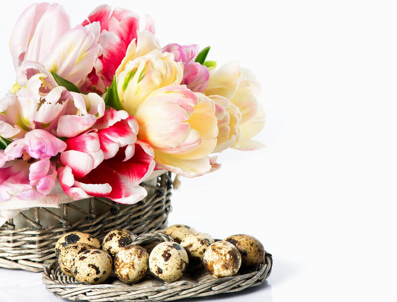 Tulips and Quail Eggs