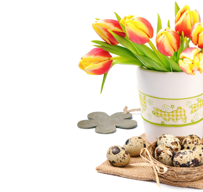 Tulips and Quail Eggs — White, Festive