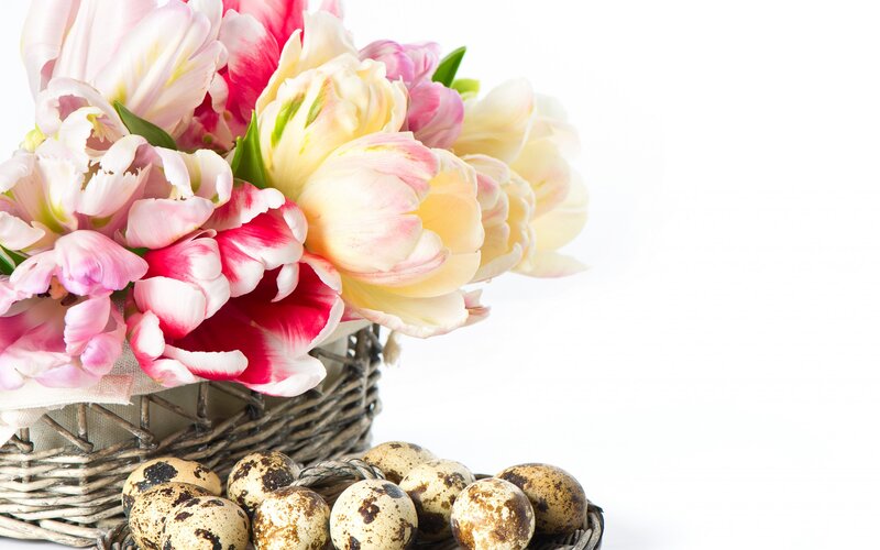 Tulips and Quail Eggs — White