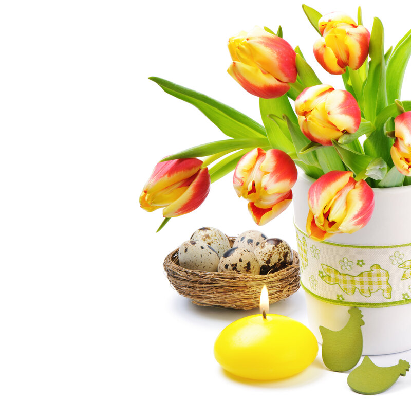 Tulips and Quail Eggs — Yellow
