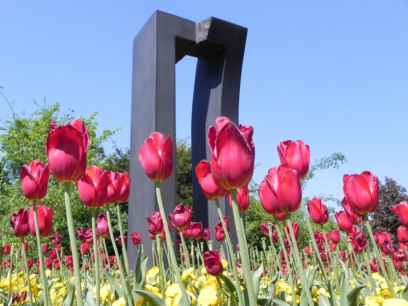 Tulips and sculpture in a garden