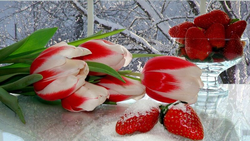 Tulips and strawberries in winter