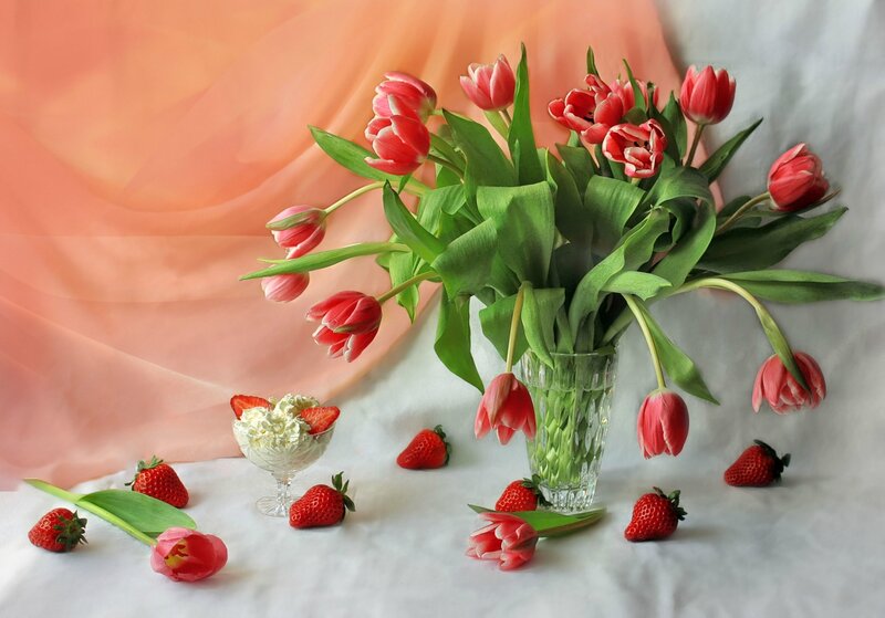 Tulips and Strawberries — Red