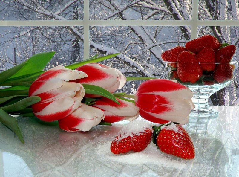 Tulips and Strawberries