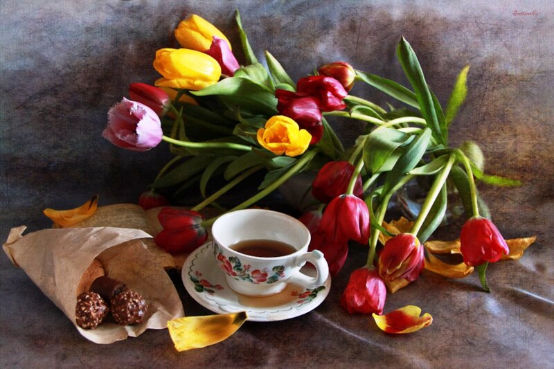 Tulips and Tea Cup