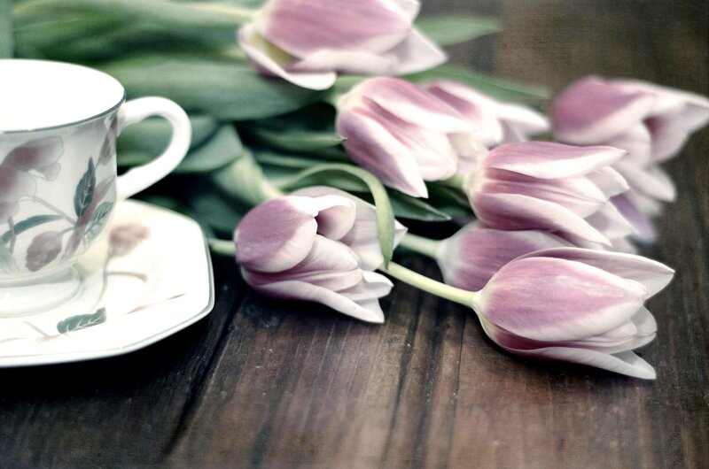 Tulips and Teacup — Purple, Serene