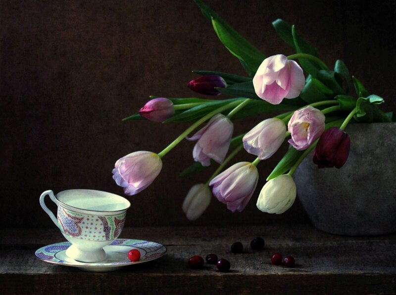 Tulips and Teacup