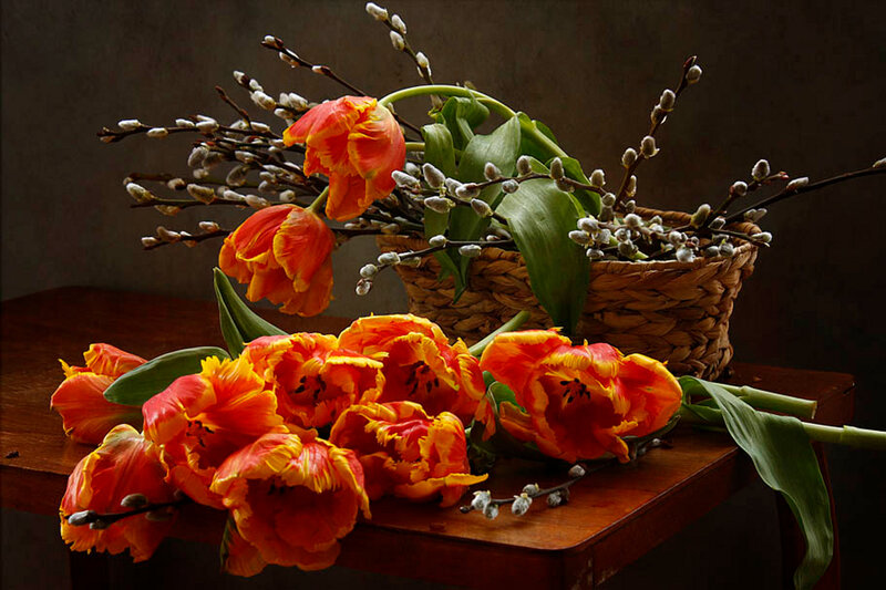 Tulips and Willow Branches