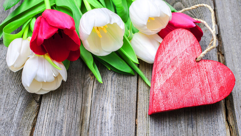Tulips and Wooden Heart