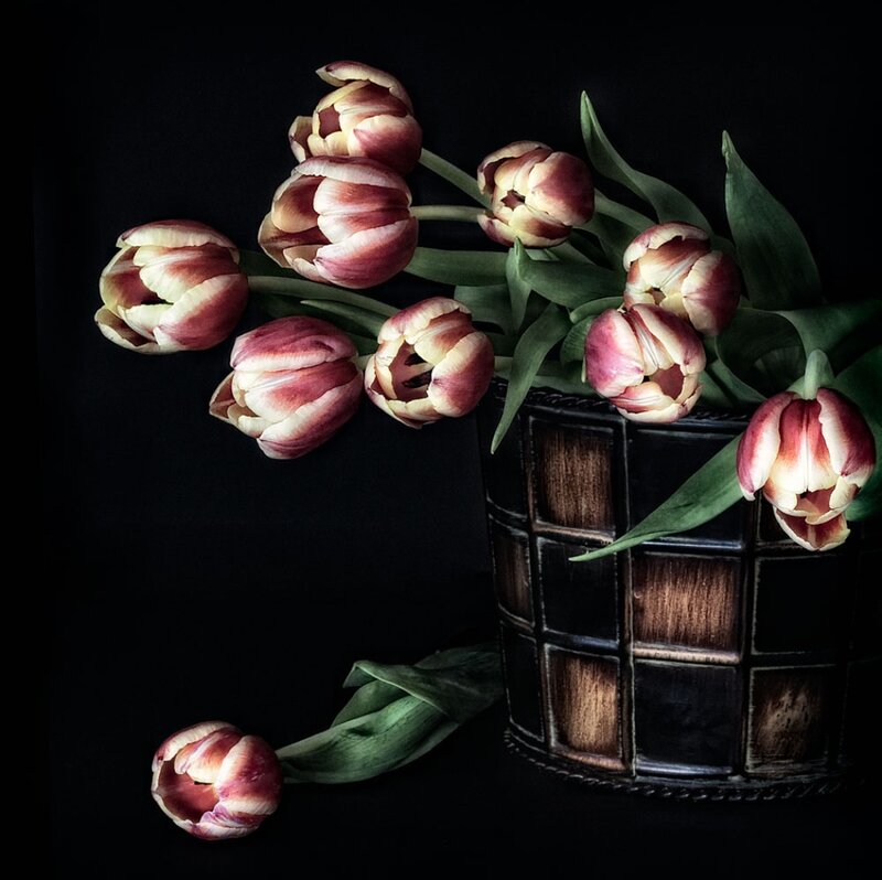 Tulips in a Basket — Black, Dramatic