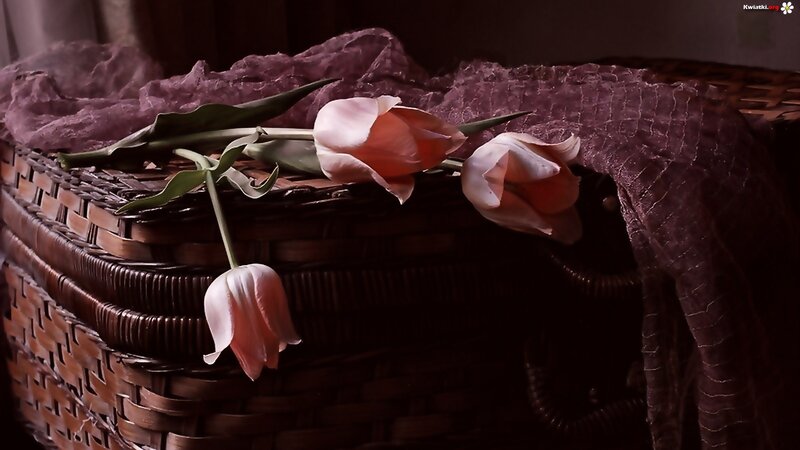 Tulips in a Basket — Brown, Dramatic, Photograph, Cloth