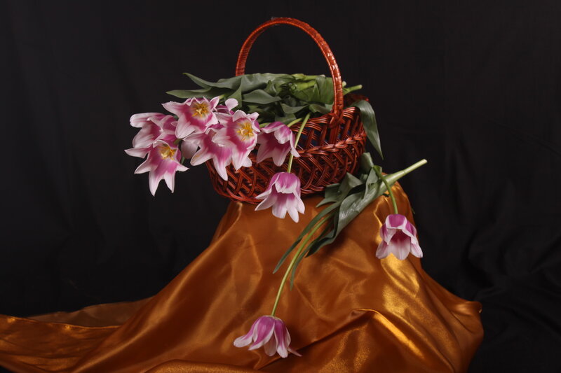 Tulips in a Basket — Brown, Dramatic