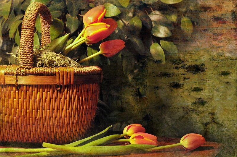 Tulips in a Basket — Orange