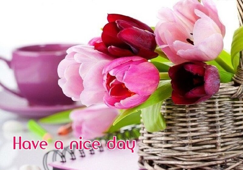Tulips in a Basket — Pink, Calm, Morning