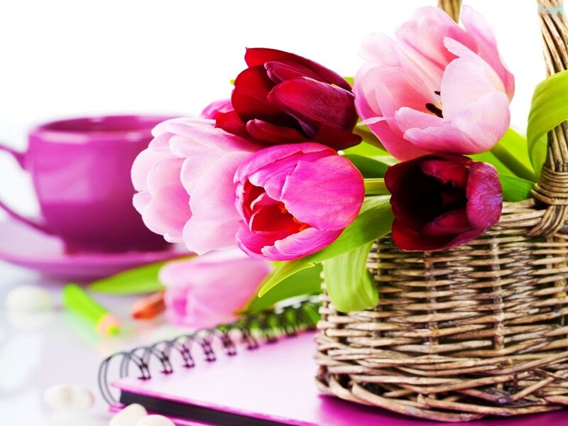 Tulips in a Basket — Pink, Calm, Photograph