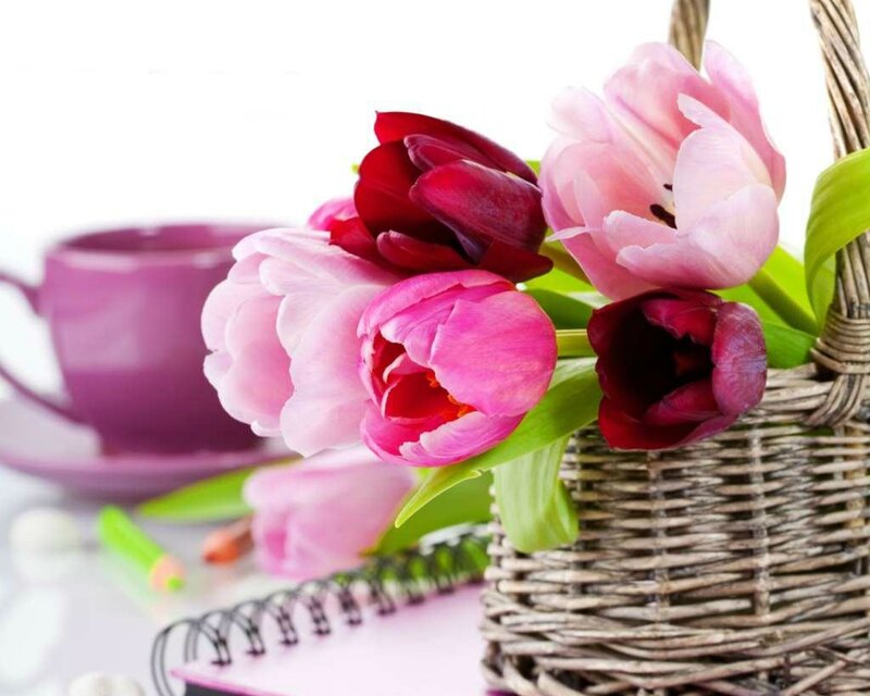 Tulips in a Basket — Pink, Calm, Spring, Photograph, Cup