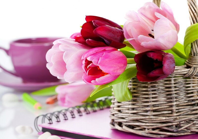 Tulips in a Basket — Pink, Calm