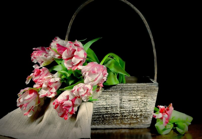 Tulips in a Basket — Pink, Dramatic