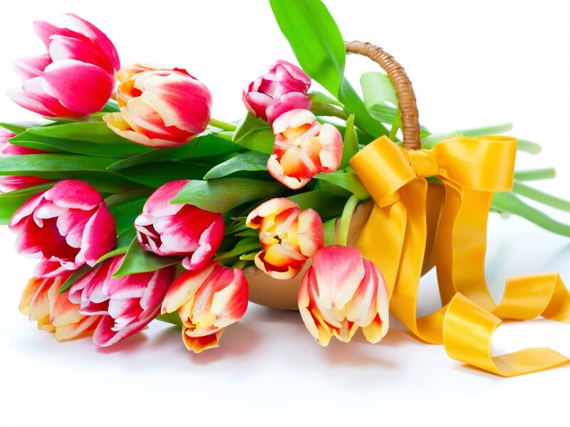 Tulips in a Basket — Red, Bright