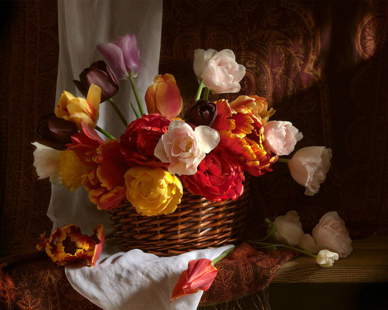 Tulips in a Basket — Red, Dramatic, Photograph, Cloth