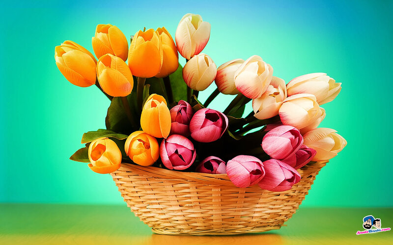 Tulips in a Basket — Yellow, Bright