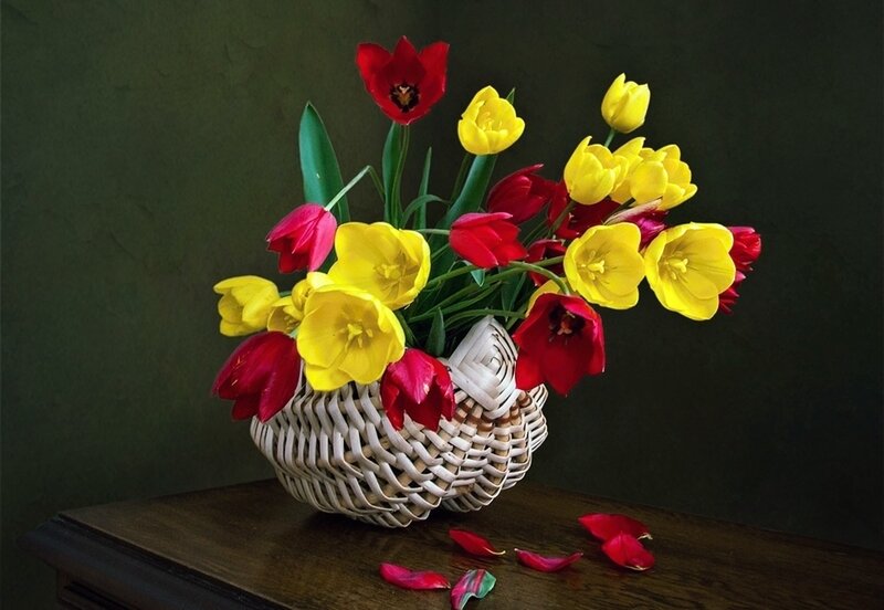 Tulips in a Basket — Yellow, Calm, Photograph, Table