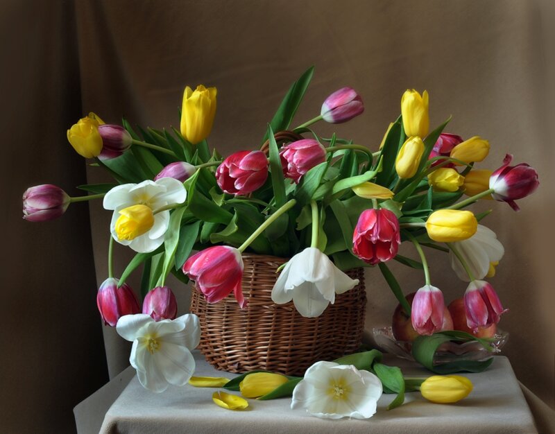 Tulips in a Basket — Yellow, Calm, Spring, Photograph