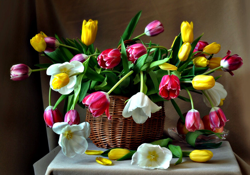Tulips in a Basket — Yellow, Calm, Spring