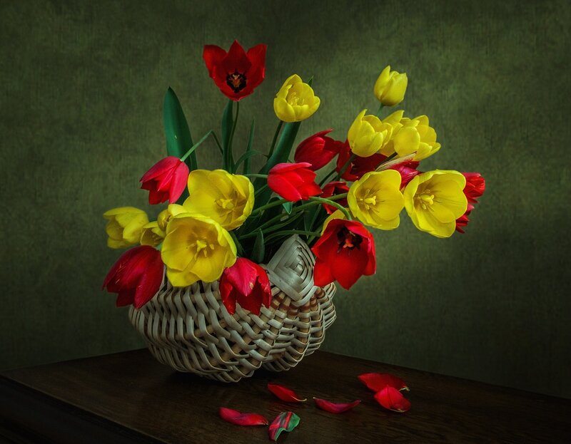 Tulips in a Basket — Yellow, Dramatic, Photograph