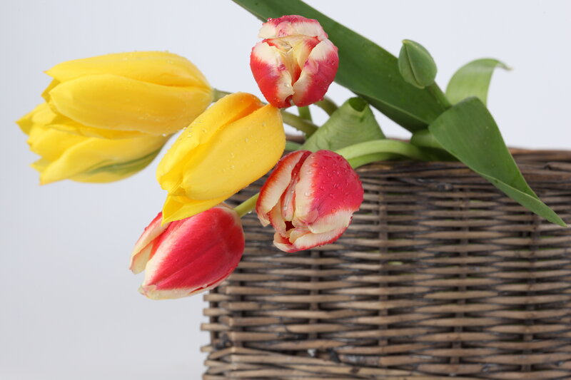 Tulips in a Basket — Yellow