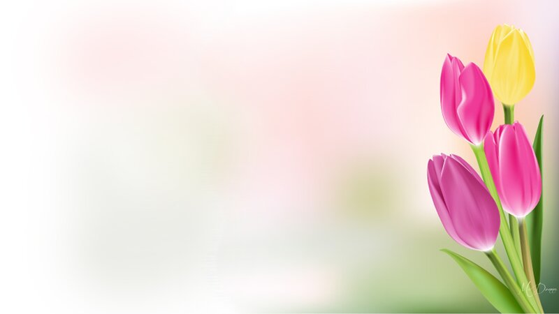 Tulips in a Bouquet — Pink, Serene