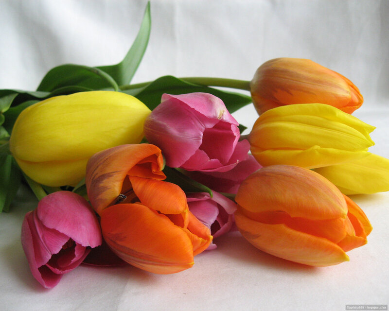 Tulips in a Bouquet — Yellow